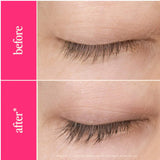 Lash Bash Set